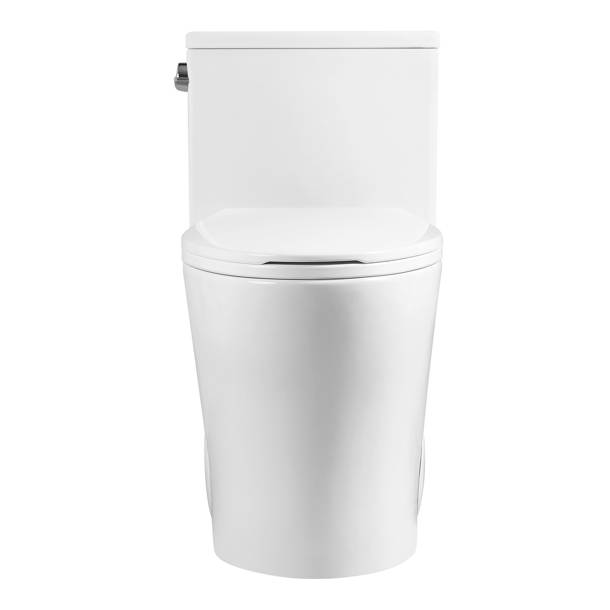 Fine Fixtures 1.5 GPF Elongated OnePiece Toilet (Seat Included) Wayfair